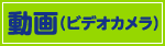 動画（ビデオカメラ）