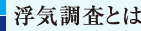 浮気調査とは