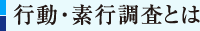 行動・素行調査とは