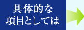具体的な項目としては