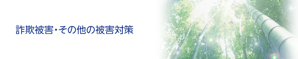 詐欺被害・その他の被害対策