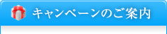 キャンペーンのご案内